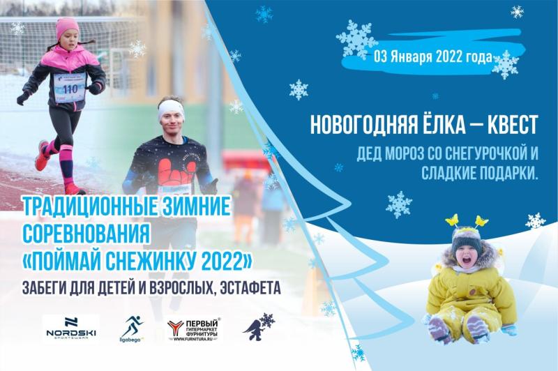 Поймай снежинку 2022