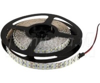 Лента светодиодная 3528/240, 24V, 5 м, холодный белый 6000К, IP33, 19.2W/1м